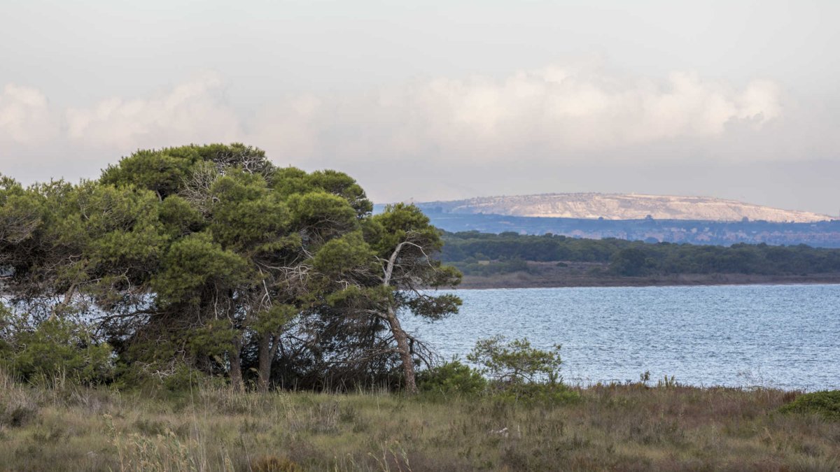 Natural scenery near La Mata in Torrevieja, a popular area for family walks